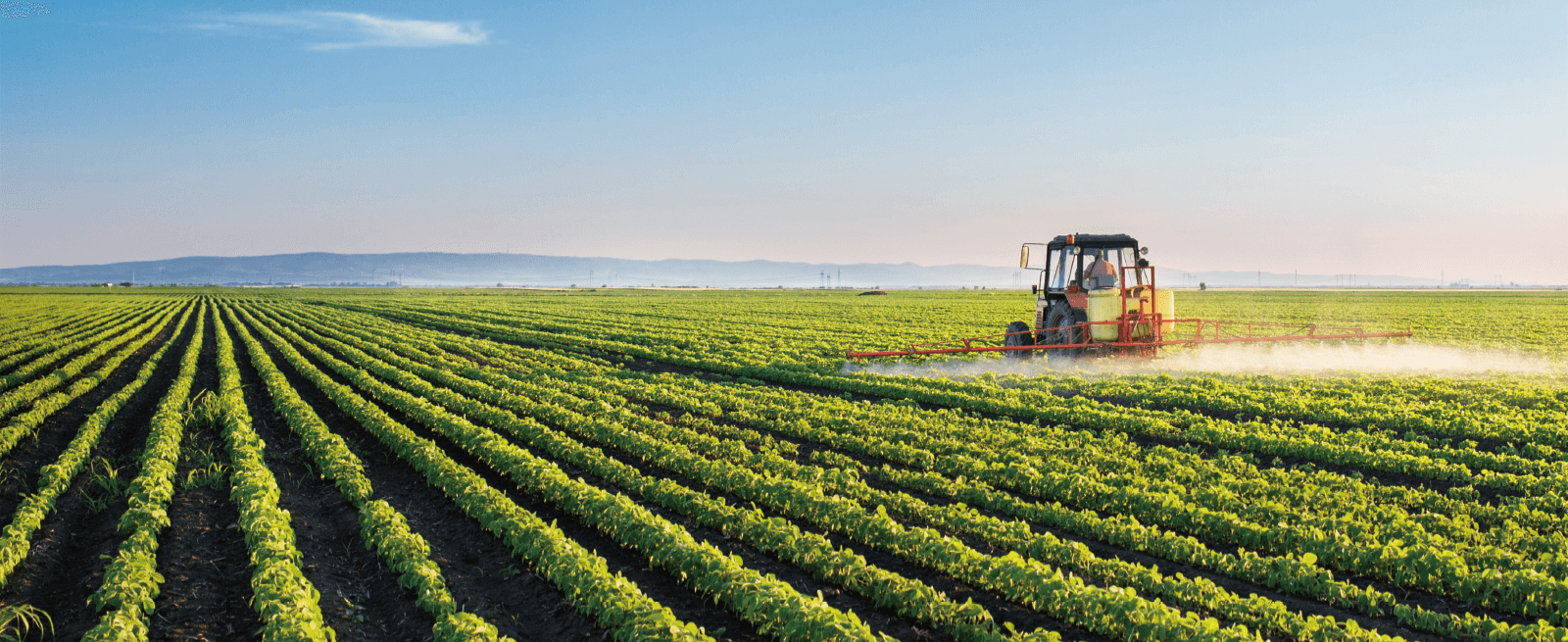 suncitygroup̫������(�й�)-�ٷ���վ