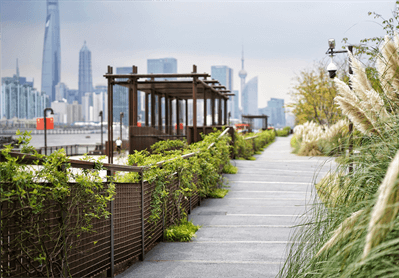 suncitygroup̫������(�й�)-�ٷ���վ